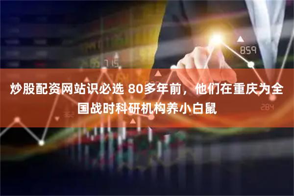 炒股配资网站识必选 80多年前，他们在重庆为全国战时科研机构养小白鼠